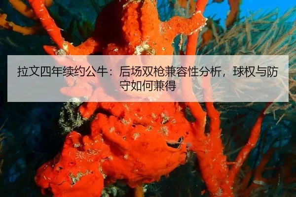 la-wen-si-nian-xu-yue-gong-niu-hou-chang-shuang-qiang-jian-rong-xing-fen-xi-qiu-quan-yu-fang-shou-ru-he-jian-de-3-889.jpg